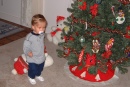 2000-11-30-04-Chance-Tree.jpg